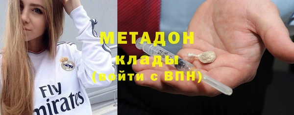 прущие грибы Абинск