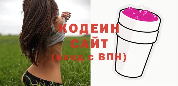 прущие грибы Абинск