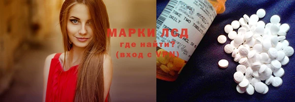 прущие грибы Абинск