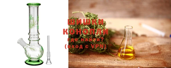 прущие грибы Абинск