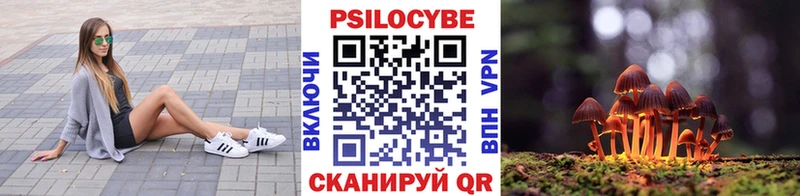 OMG ссылки  купить наркотики цена  Ильский  Псилоцибиновые грибы Psilocybe 
