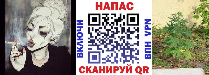 Бошки марихуана THC 21%  kraken зеркало  Ильский 